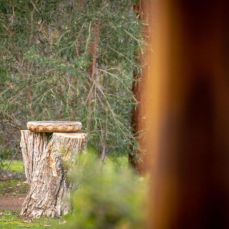 Margaret River Chalets Екстер'єр фото